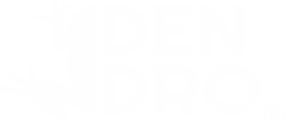 Logo DENDRO